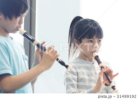 リコーダーを吹く小学生 リコーダーを吹く小学生 31499192