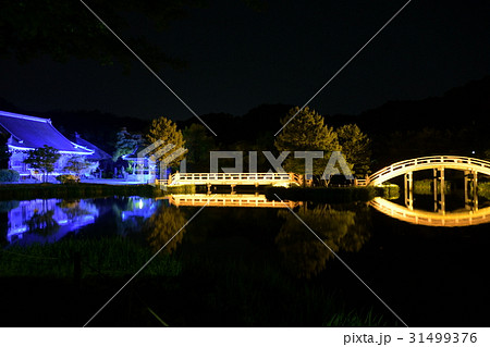 称名寺の本堂と平橋b2 称名寺の本堂と平橋b2 31499376