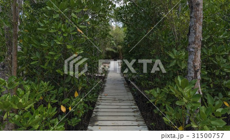 Interesting view of Seychelles 31500757