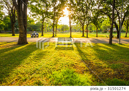 Park bench sunset yellow light beam Park bench sunset yellow light beam 31501274