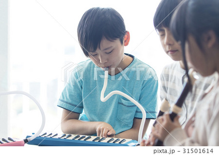 音楽室の授業を受ける小学生 31501614