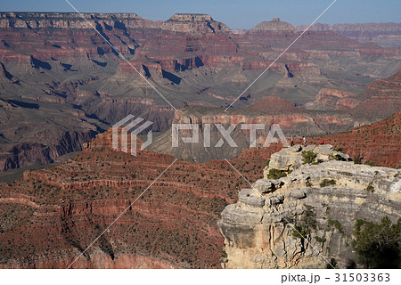 グランド・キャニオン風景 グランド・キャニオン風景 31503363