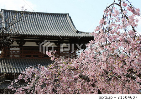 法隆寺 法隆寺 31504607