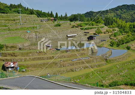 周南市小畑地区の棚田 31504833