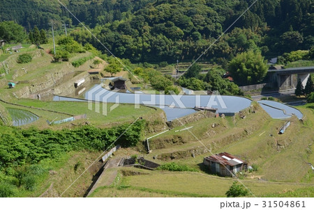周南市小畑地区の棚田 周南市小畑地区の棚田 31504861