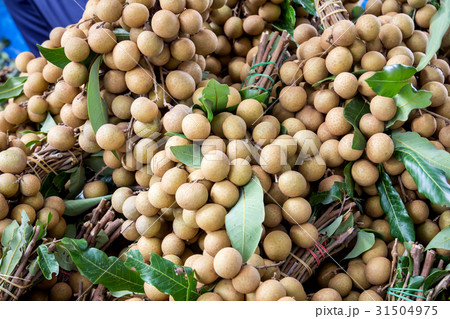 Longan favorite thai fruit delicious and sweet Longan favorite thai fruit delicious and sweet 31504975
