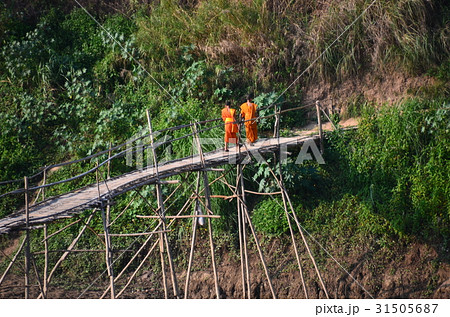 ラオスの世界遺産　夕暮れのルアンパバーン　竹橋を渡る僧侶  31505687