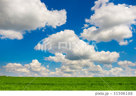 Green grass and blue sky with white clouds 31506188