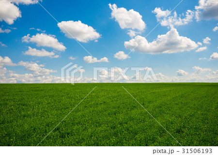 Green grass and blue sky with white clouds 31506193