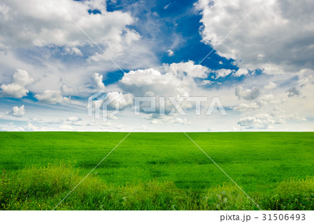 Green grass field and bright blue sky background 31506493