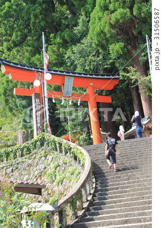 熊野那智大社 31506587