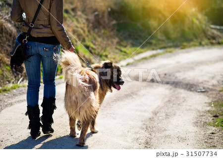 Girl playing with Caucasian shepherd dog, autumn Girl playing with Caucasian shepherd dog, autumn 31507734