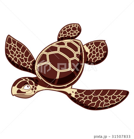 Catroos sea turtle 31507833