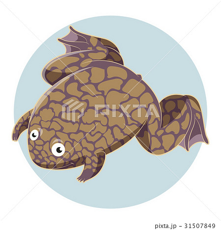 Cartoon smiling Xenopus 31507849