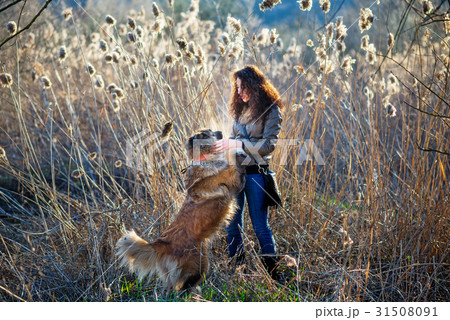 Woman playing with Caucasian shepherd dog, autumn Woman playing with Caucasian shepherd dog, autumn 31508091