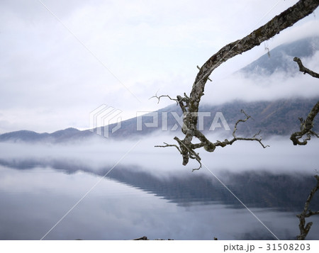 中禅寺湖 31508203