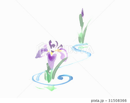 杜若のイラスト素材