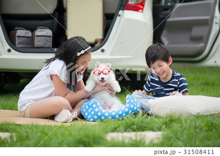 Asian children playing with siberian husky puppy 31508411