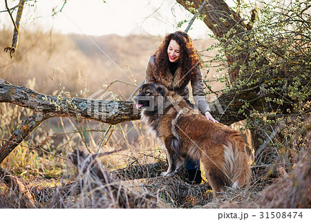 Woman playing with Caucasian shepherd dog, autumn Woman playing with Caucasian shepherd dog, autumn 31508474