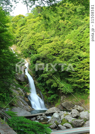 見返りの滝 31508581