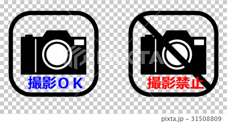Camera shooting guide 31508809