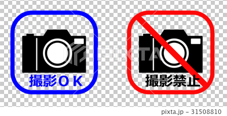 Camera shooting guide 31508810