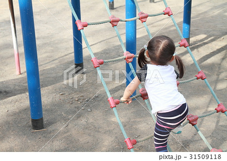 綱渡りで遊ぶ幼児(2歳児) 綱渡りで遊ぶ幼児(2歳児) 31509118