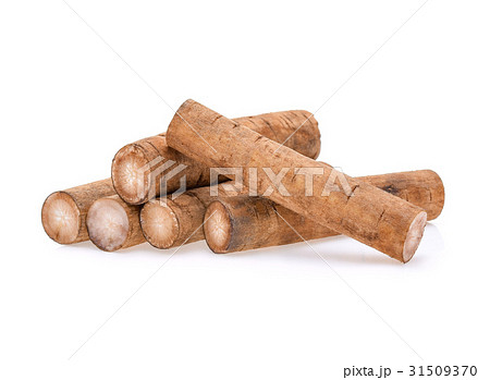 Burdock roots isolated white background. Burdock roots isolated white background. 31509370