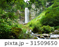 岐阜県　夏の平湯大滝 31509650