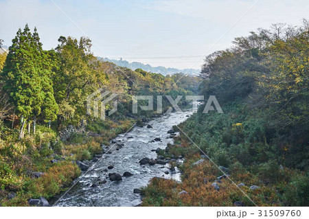 大野川水系緒方川 31509760