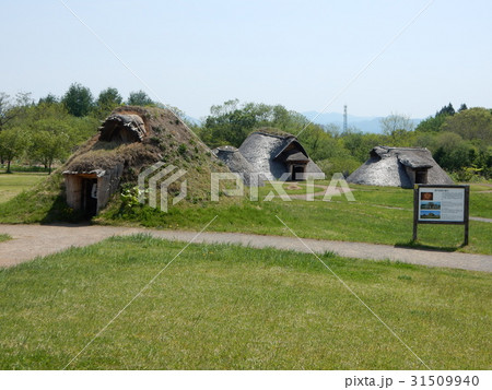 三内丸山遺跡 三内丸山遺跡 31509940
