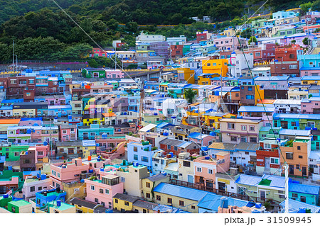 韓国 釜山の甘川洞文化村 31509945