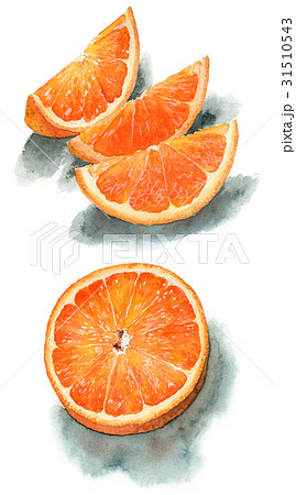 アナログ水彩カットオレンジ半割スマイルカットセットのイラスト素材