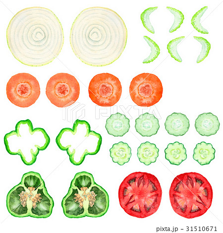 輪切り野菜の切り口のイラスト素材