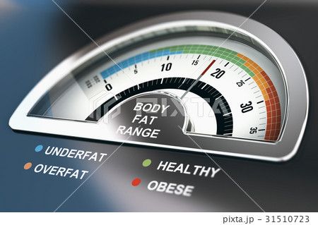 Body Fat Range Body Fat Range 31510723
