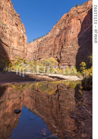 Zion Narrows in Autumn 31511092