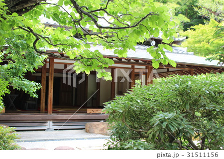 鎌倉浄妙寺喜泉庵 31511156