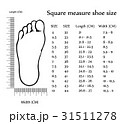 Square measure shoe size 31511278