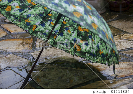 雨 潤い じめじめ 31511384