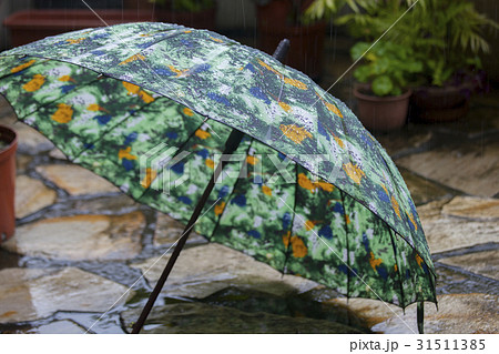 雨 潤い じめじめ 31511385