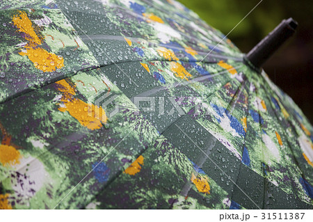 雨 潤い じめじめ 31511387