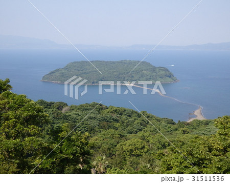 指宿知林ヶ島 指宿知林ヶ島 31511536
