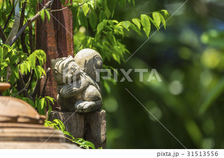 Squirrel stucco doll in the garden with green 31513556