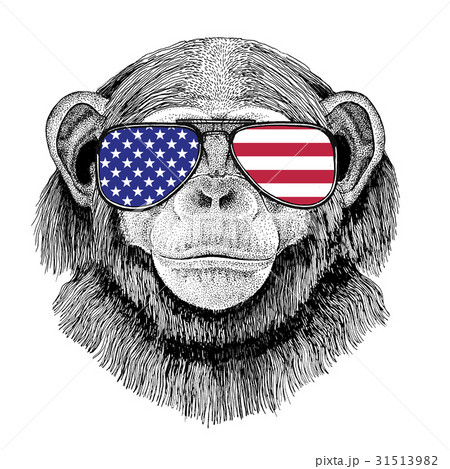 Chimpanzee Monkey Hand drawn illustration for Chimpanzee Monkey Hand drawn illustration for 31513982