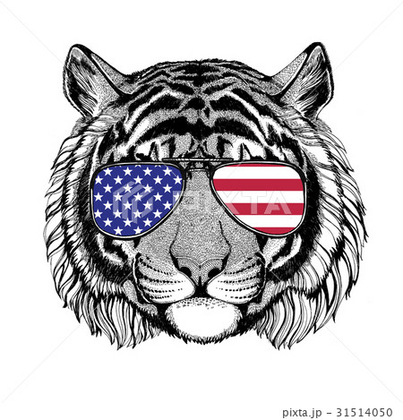 Wild tiger Hand drawn illustration for tattoo 31514050