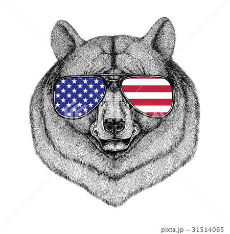 Black bear American bear Hand drawn illustration 31514065