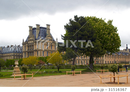 Louvre museum from the Tuileries garden Louvre museum from the Tuileries garden 31516367
