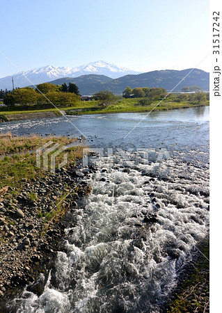 日向川と鳥海山 31517242