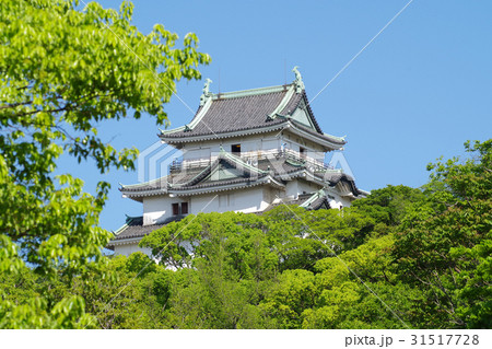 和歌山城の天守 31517728