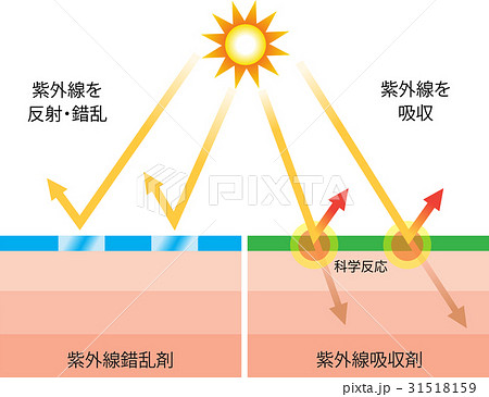 紫外線吸収剤　紫外線錯乱剤 31518159